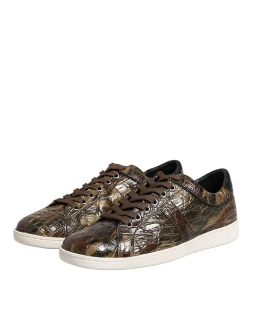 Dolce & Gabbana Brown Exotic Leather Low Top Sneakers Shoes for men
