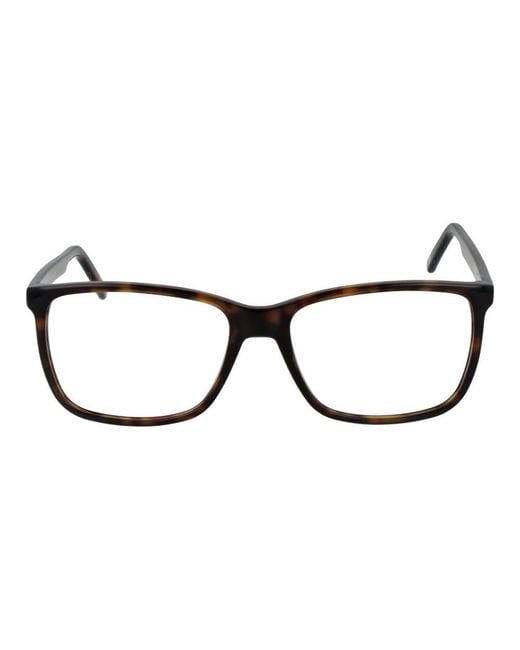 Andy Wolf Black Acetate Glasses (Frames)