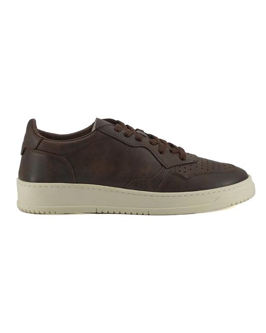 Saxone Of Scotland Black Brown Leather Low Top Sneakers for men