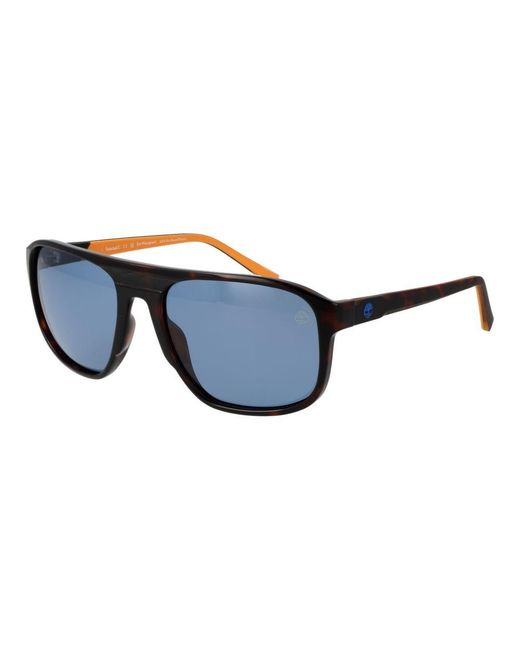 Timberland Blue Brown Plastic Sunglasses for men