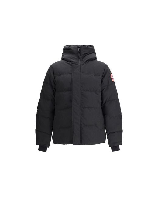 Canada Goose Blue Cotton Parka for men