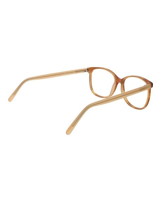 Andy Wolf Brown Acetate Glasses (Frames)
