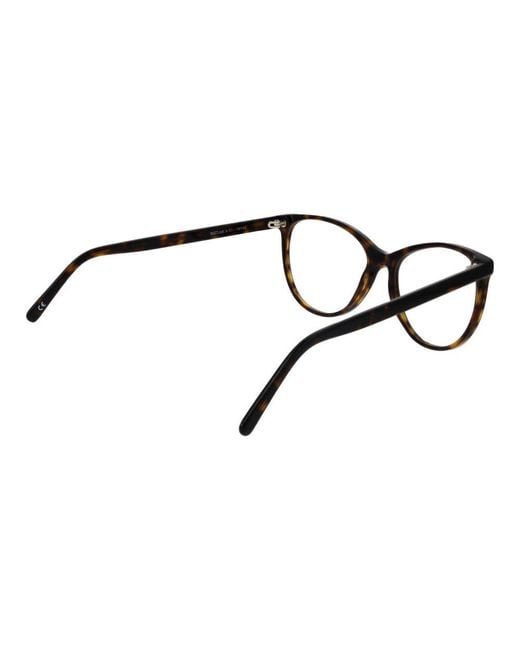 Andy Wolf Black Brown Acetate Glasses (frames)