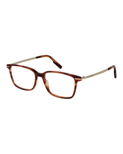 Zegna Brown Acetate Glasses (frames) for men