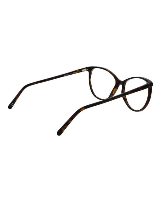 Andy Wolf Black Brown Acetate Glasses (frames)