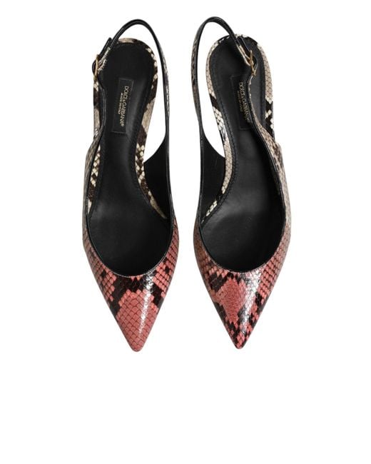 Dolce & Gabbana Brown Multicolor Leather Heels Slingback Shoes
