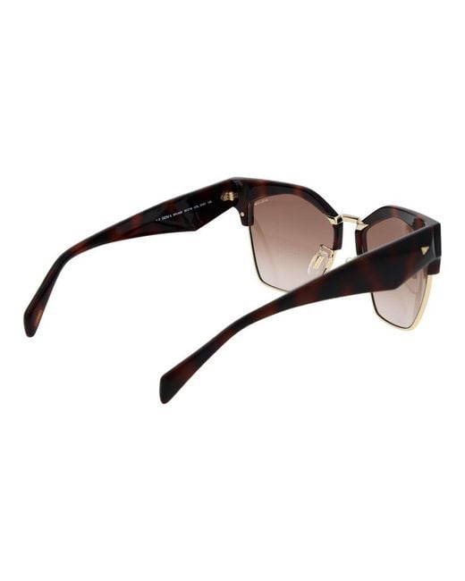 Police Brown Plastic Sunglasses