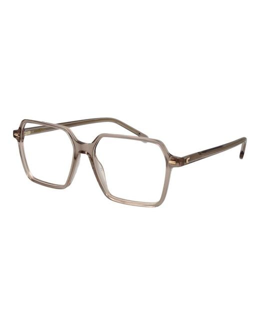 Carrera Metallic Beige Acetate Glasses (frames)