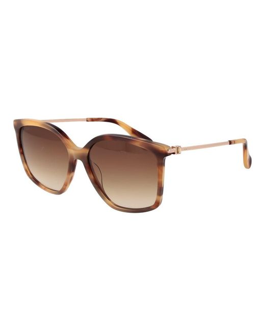 Max Mara Brown Acetate Sunglasses