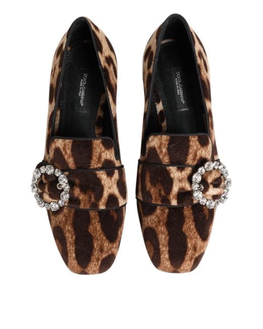 Dolce & Gabbana Brown Leopard Print Crystals Loafers Flats Shoes