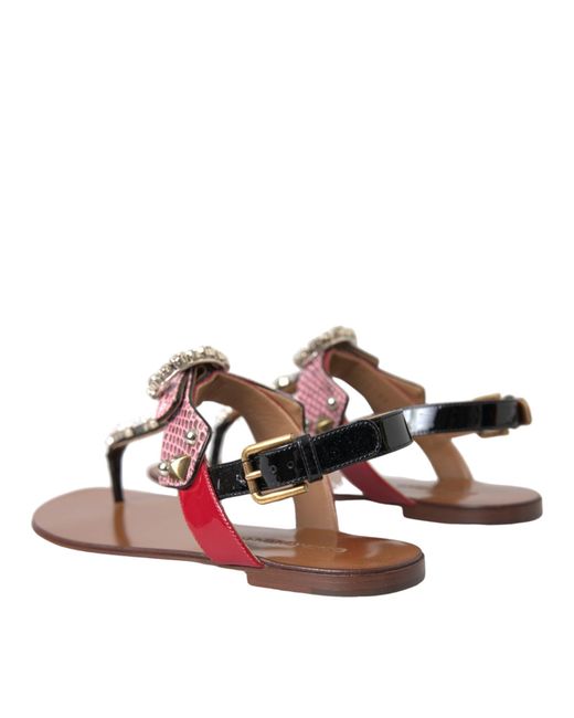 Dolce & Gabbana Brown Flat Sandals
