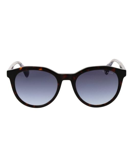 Ted Baker Blue Brown Acetate Sunglasses for men