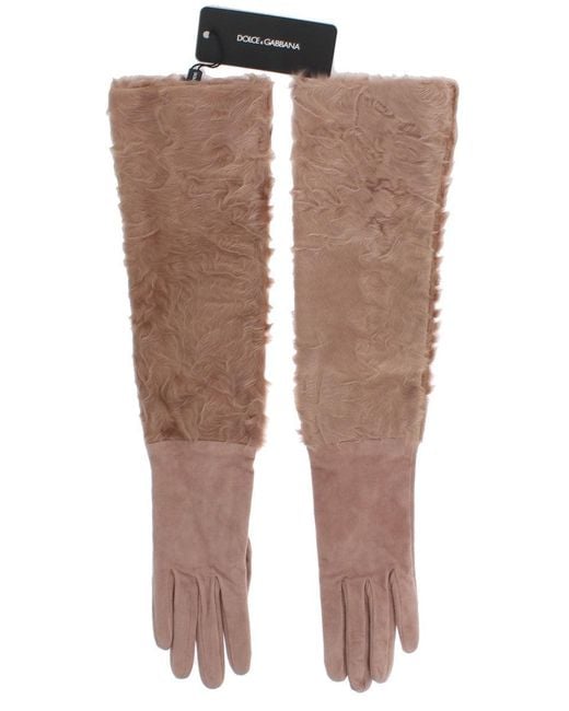 Dolce & Gabbana Multicolor Elegant Suede Elbow-Length Gloves