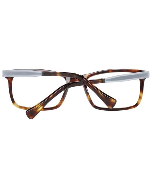 Police Multicolor Brown Plastic Glasses (frames) for men