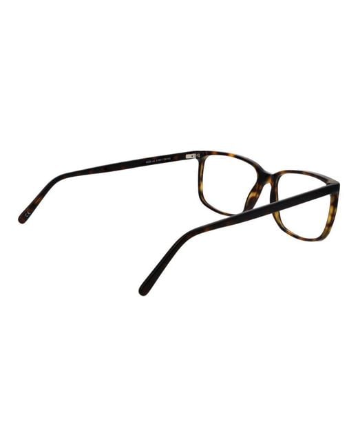 Andy Wolf Black Brown Acetate Glasses (frames)