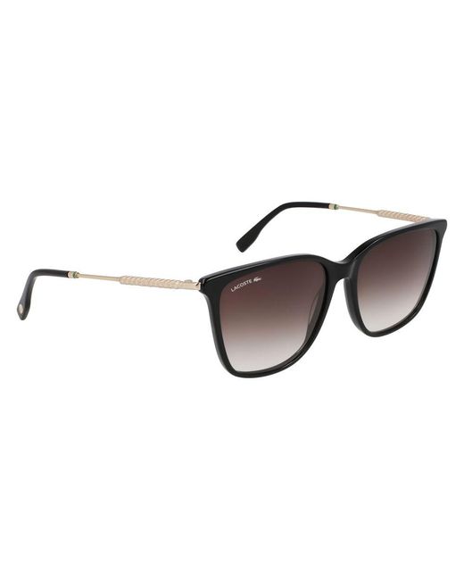 Lacoste Brown Acetate Sunglasses
