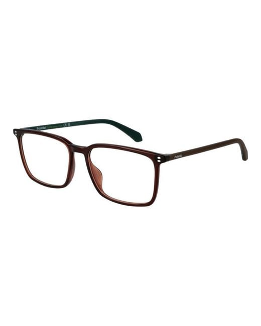 Polaroid Black Brown Polyamide Glasses (frames) for men