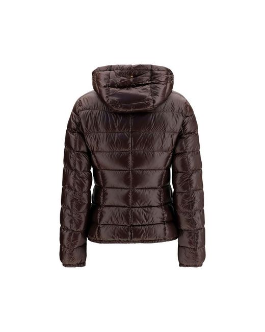 Herno Brown Polyamide Full