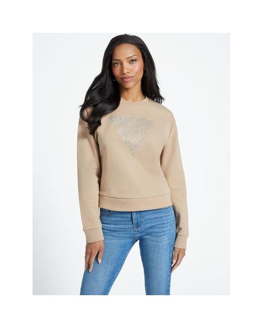 Guess Blue Brown Cotton Sweatshirt