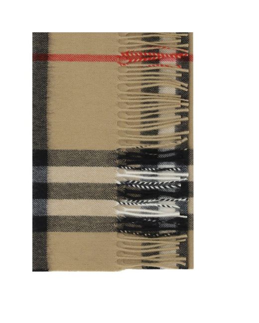 Burberry Green Scarf