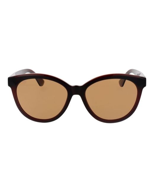 Serengeti Brown Plastic Sunglasses