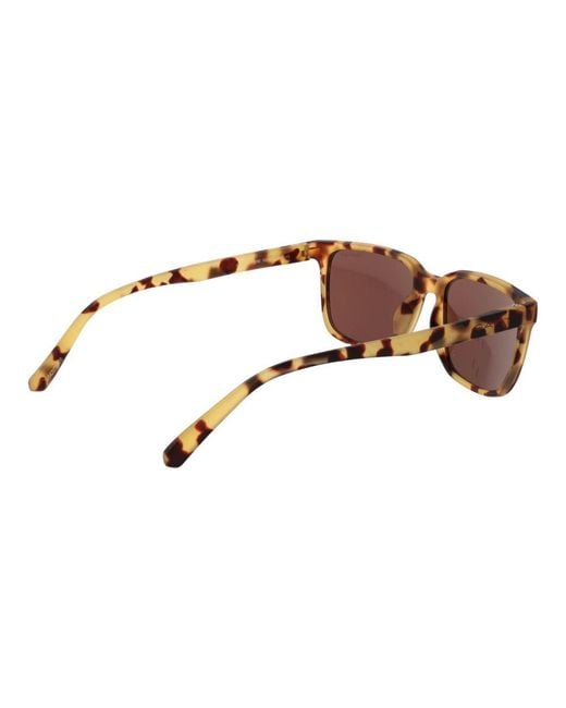 Gant Brown Plastic Sunglasses for men