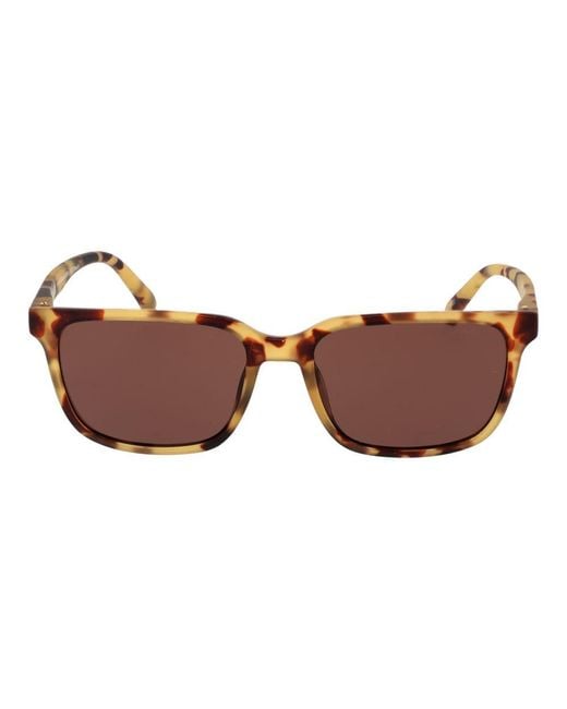 Gant Brown Plastic Sunglasses for men