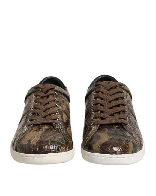 Dolce & Gabbana Brown Exotic Leather Low Top Sneakers Shoes for men