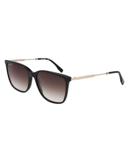 Lacoste Brown Acetate Sunglasses
