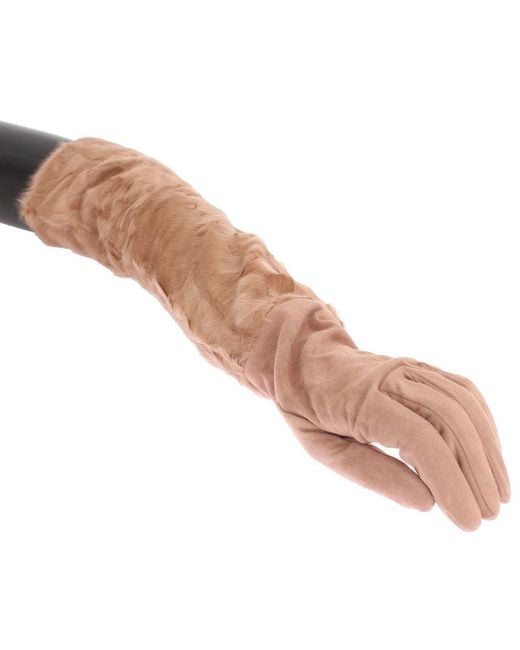 Dolce & Gabbana Multicolor Elegant Suede Elbow-Length Gloves