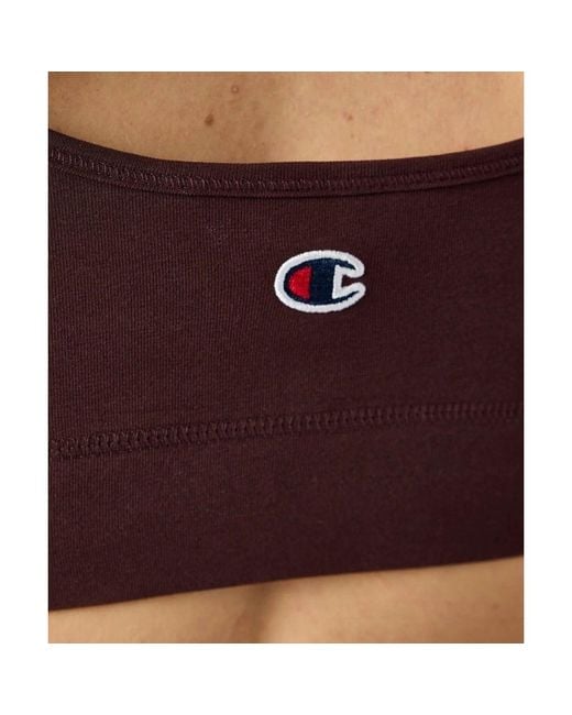 Champion Multicolor Brown Cotton Bra