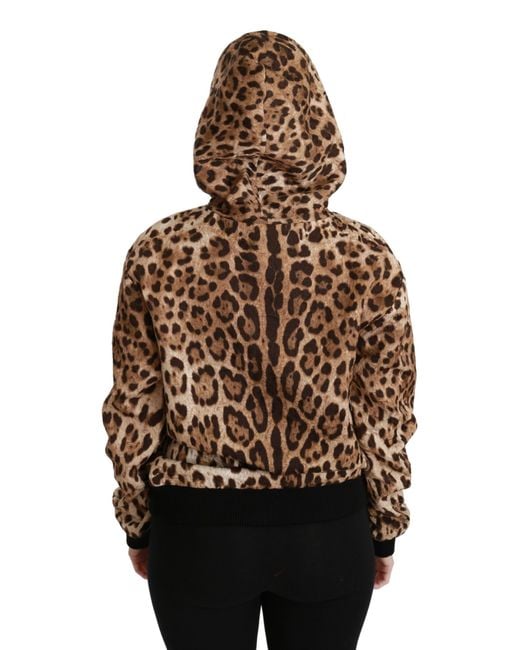Dolce & Gabbana Brown Hooded Studded Ayers Leopard Sweater Cotton