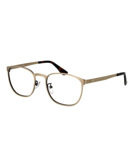 BMW Metallic Gold Metal Glasses (frames) for men