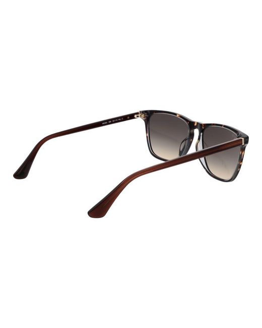 Web Black Brown Acetate Sunglasses for men