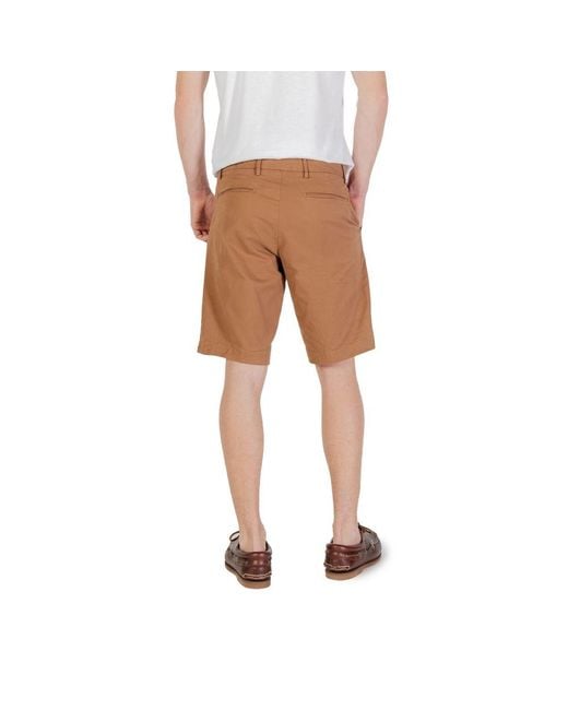 Borghese Brown Cotton Bermuda for men