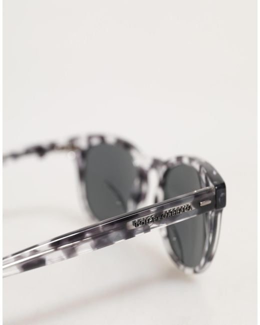 Dolce & Gabbana Gray Dg4254 Havana Clear Tinted Lenses Sunglasses