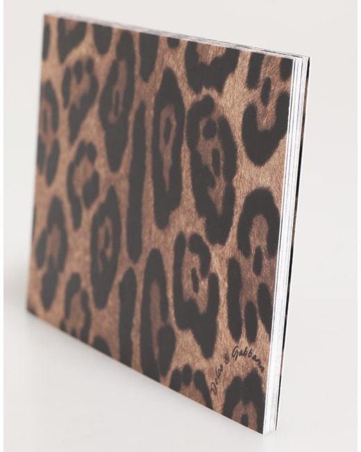 Dolce & Gabbana Multicolor Leopard Print Envelope Paper Post Card Holder