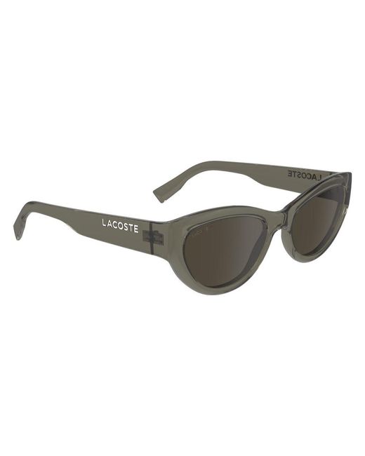 Lacoste Brown Injected Sunglasses