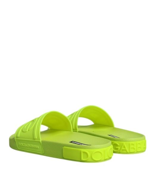 Dolce & Gabbana Green Sliders