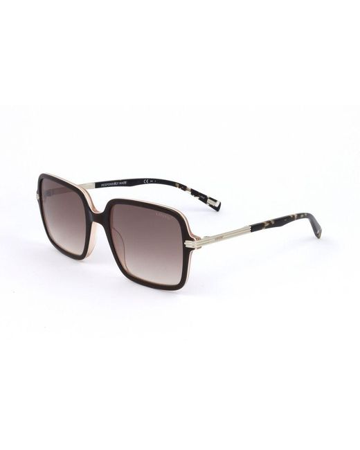 Levi's Brown Black Resin Sunglasses