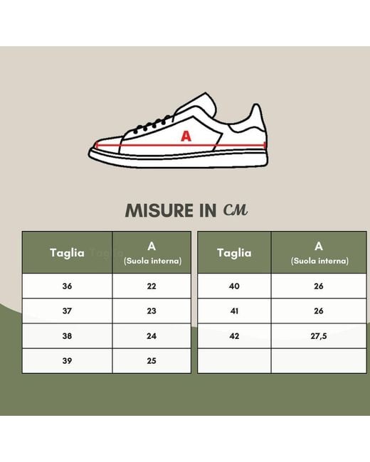 P448 John Sneakerwhitebeige