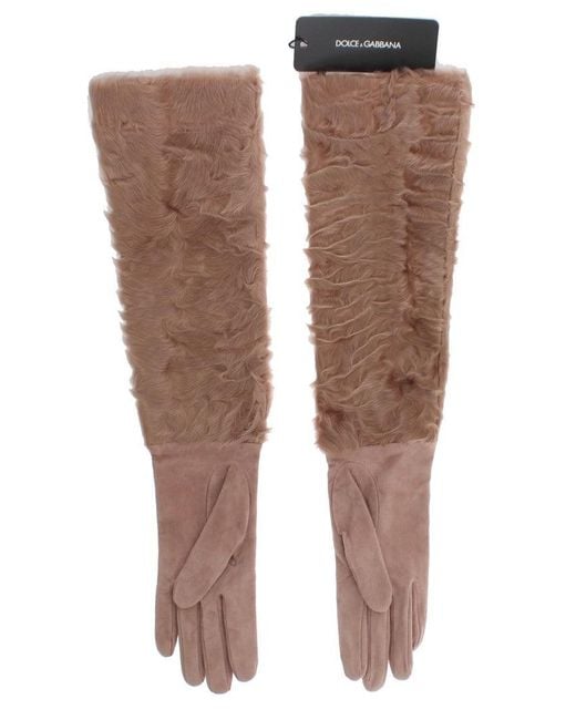 Dolce & Gabbana Multicolor Elegant Suede Elbow-Length Gloves