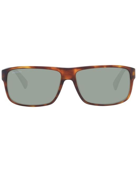 Serengeti Brown Sunglasses