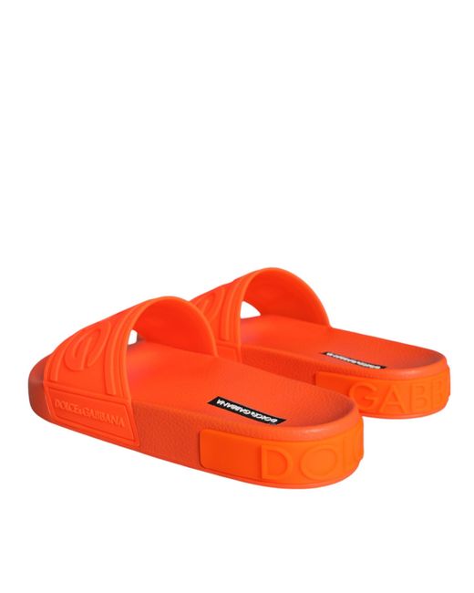 Dolce & Gabbana Orange Sliders