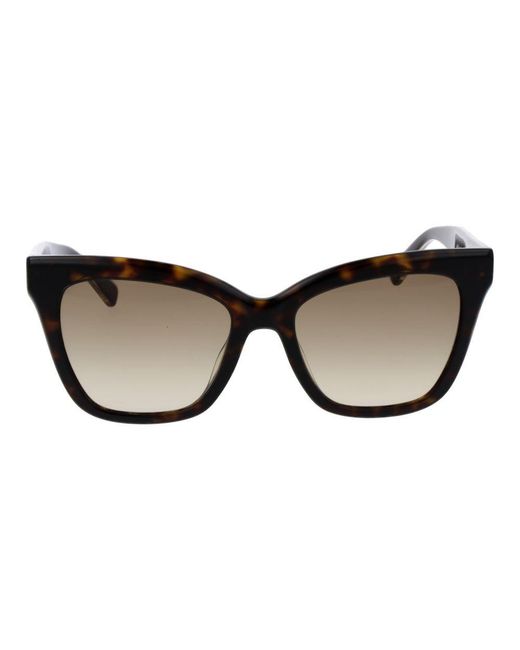 Longchamp Black Acetate Sunglasses