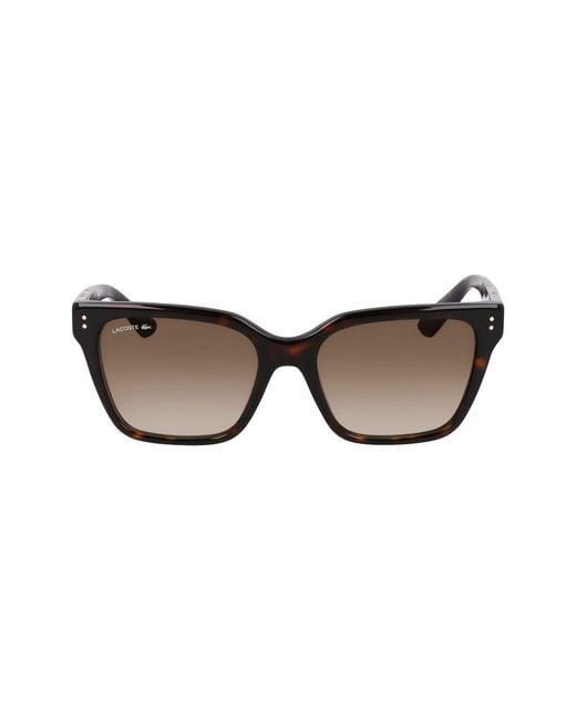 Lacoste Black Acetate Sunglasses