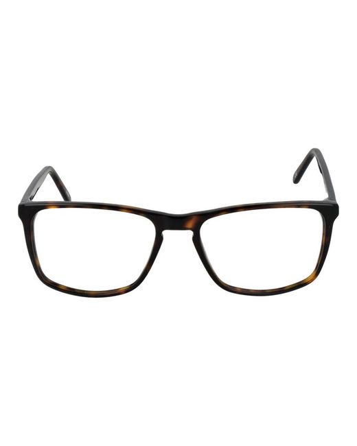 Andy Wolf Black Brown Acetate Glasses (frames)