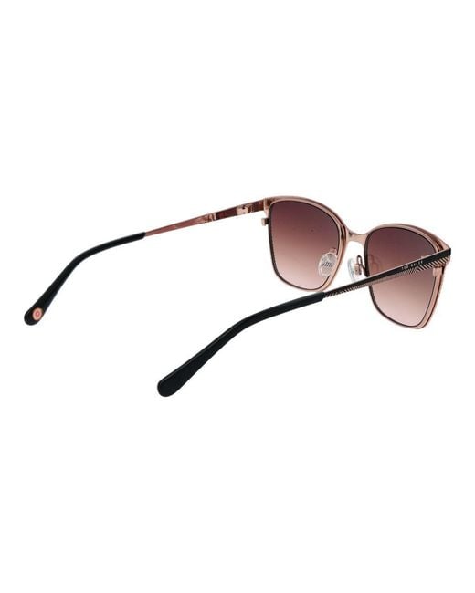 Ted Baker Brown Acetate Sunglasses