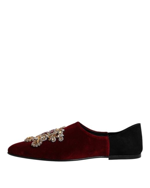 Dolce & Gabbana Brown Black Red Velvet Embellished Slip On Shoes for men