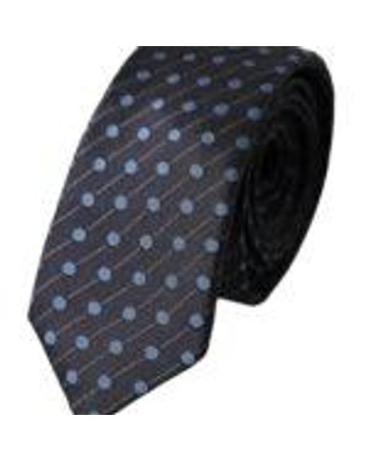 Dolce & Gabbana Blue Polka Dot Necktie for men